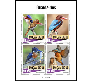 Kingfishers - East Africa / Mozambique 2020
