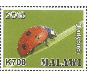 Ladybird - East Africa / Malawi 2019 - 700