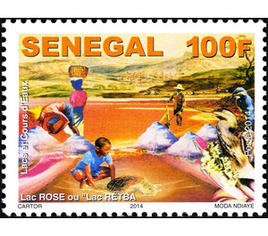 Lake Retba, “Pink Lake” - West Africa / Senegal 2014 - 100