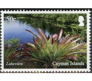 Lake View - Caribbean / Cayman Islands 2020 - 50