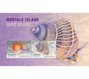 Land Snails - Norfolk Island 2021