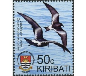 Leach's Storm Petrel (Oceanodroma leucorhoa) - Micronesia / Kiribati 2019 - 50