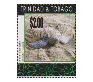 Leatherback Sea-Turtle (Dermochelys coriacea) - Caribbean / Trinidad and Tobago 2019 - 2