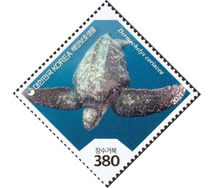 Leatherback Sea Turtle (Dermochelys coriacea) - South Korea 2021 - 380