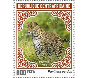 Leopard (Panthera pardus) - Central Africa / Central African Republic 2021 - 900