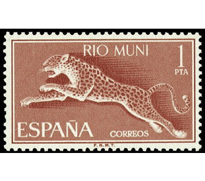 Leopard (Panthera pardus) - Central Africa / Equatorial Guinea  / Rio Muni 1964 - 1