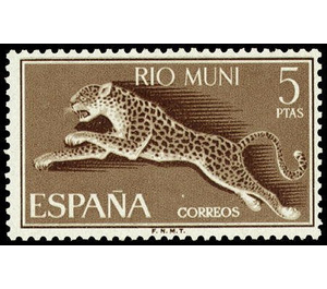 Leopard (Panthera pardus) - Central Africa / Equatorial Guinea  / Rio Muni 1964 - 5