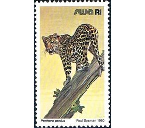 Leopard (Panthera pardus) - South Africa / Namibia / South-West Africa 1989 - 1