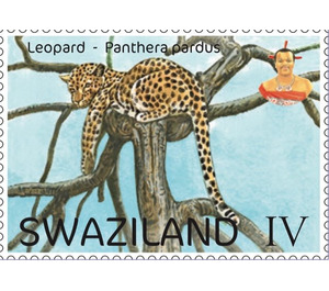 Leopard (Panthera pardus) - South Africa / Swaziland 2017