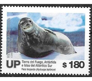 Leopard Seal (Hydrurga leptonyx) - South America / Argentina 2019 - 180