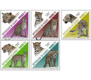 Leopards (2021) - West Africa / Guinea 2021 Set