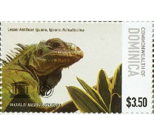Lesser Antillean Iguana (Iguana delicatissima) - Caribbean / Dominica 2015 - 3.50