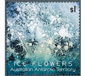 Light-blue Ice Flower - Australian Antarctic Territory 2016 - 1