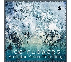 Light-blue Ice Flower - Australian Antarctic Territory 2016 - 1