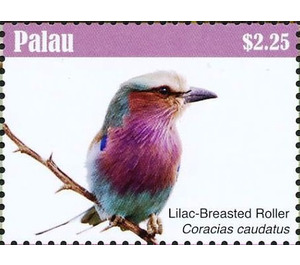 Lilac-breasted Roller    Coracias caudatus - Micronesia / Palau 2018 - 2.25