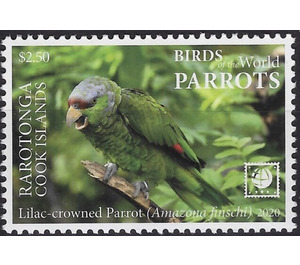 Lilac-Crowned Amazon (Amazona finschi) - Cook Islands, Rarotonga 2020 - 2.50