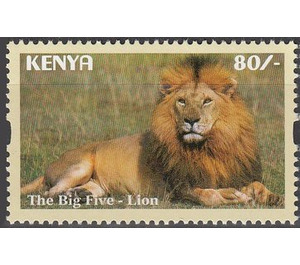 Lion (Panthera leo) - East Africa / Kenya 2017 - 80