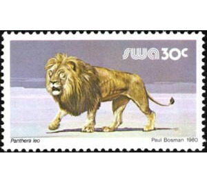 Lion (Panthera leo) - South Africa / Namibia / South-West Africa 1989 - 30