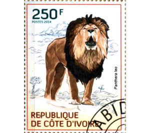 Lion (Panthera leo) - West Africa / Ivory Coast 2014 - 250