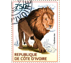 Lion (Panthera leo) - West Africa / Ivory Coast 2014 - 750