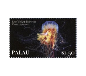 Lion's mane jellyfish (Cyanea capillata) - Micronesia / Palau 2019