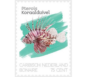 Lionfish (Pterois sp) - Caribbean / Bonaire 2020 - 75