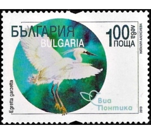 Little Egret (Egretta garzetta) - Bulgaria 2019 - 1