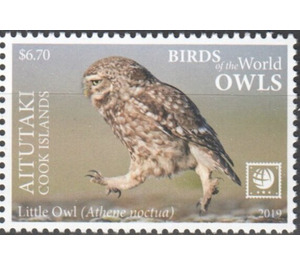 Little Owl - Aitutaki 2019 - 6.70