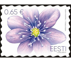 Liverleaf (Hepatica nobilis) - Estonia 2019 - 0.65