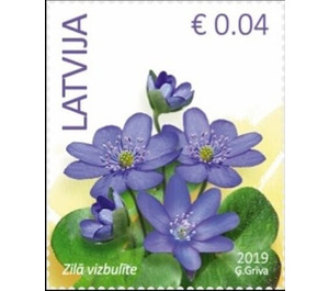 Liverleaf (Hepatica nobilis) - Latvia 2019 - 0.04