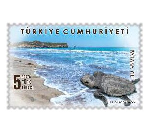 Loggerhead Turtle on Patara Beach - Turkey 2020 - 5