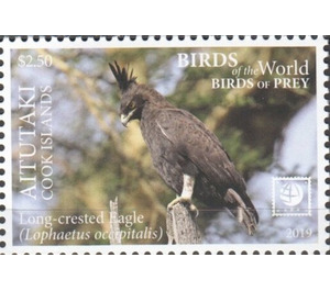 Long-Crested Eagle - Aitutaki 2019 - 2.50