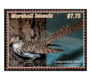 Long-Tailed Koel (Urodynamis taitensis) - Micronesia / Marshall Islands 2020 - 7.75