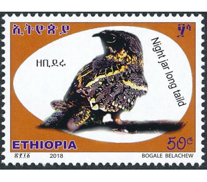 Long-tailed Nightjar (Caprimulgus climacurus) - East Africa / Ethiopia 2019 - 50