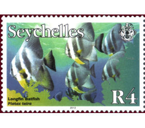 Longfin Batfish (Platax teira) - East Africa / Seychelles 2012 - 4