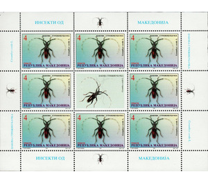 Longhorn beetle (Cerambyx cerdo) - Macedonia / North Macedonia 1998