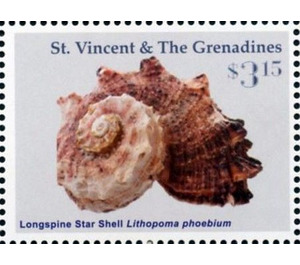 Longspine star shell - Caribbean / Saint Vincent and The Grenadines 2016 - 3.15