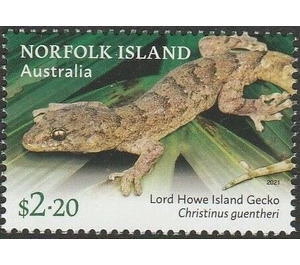 Lord Howe Island Gecko (Christinus guentheri) - Norfolk Island 2021