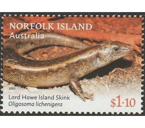 Lord Howe Island Skink (Oligosoma lichenigera) - Norfolk Island 2021