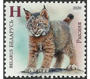 Lynx Kitten - Belarus 2020