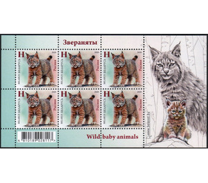 Lynx Kitten (Lynx lynx) - Belarus 2020