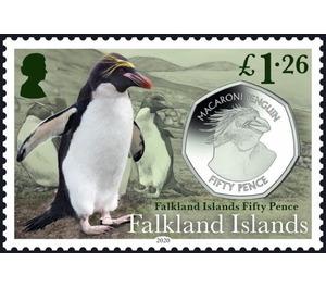 Macaroni Penguin and Coin - South America / Falkland Islands 2020