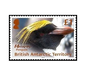 Macaroni Penguin - British Antarctic Territory 2018 - 1