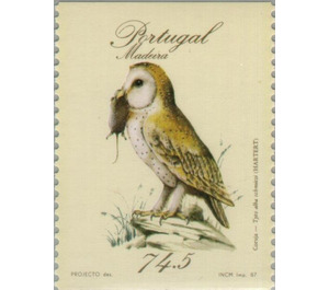Madeira Barn Owl (Tyto alba schmitzi) - Portugal / Madeira 1987 - 74.50