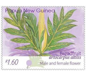 Male & Female Breadfruit Flower - Melanesia / Papua and New Guinea / Papua New Guinea 2020 - 1.60
