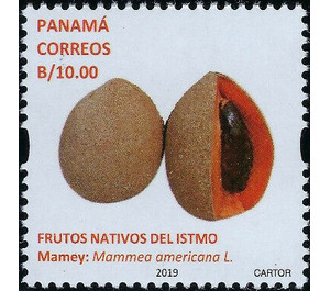 Mamey (Mammea americana) - Central America / Panama 2019 - 10