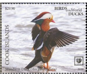 Mandarin Duck (Aix galericulata) - Polynesia / Cook Islands 2020 - 29.90