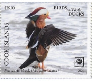 Mandarin Duck (Aix galericulata) - Polynesia / Cook Islands 2020 - 29.90