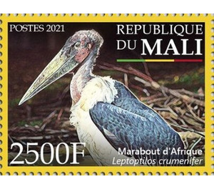 Marabou Stork (Leptoptilos crumenifer) - West Africa / Mali 2021