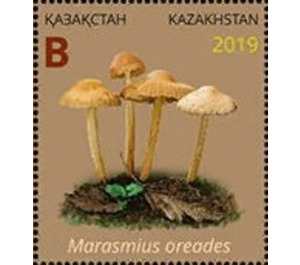 Marasmius oreades - Kazakhstan 2019